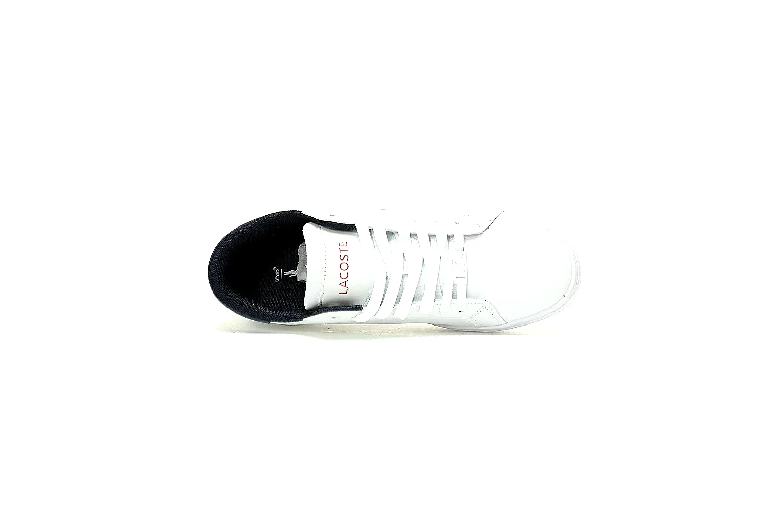 gogobuy.cloud Lacoste White Logo Low Top 0284 White low-top product image thumbnail 5